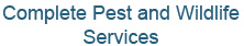 services Title